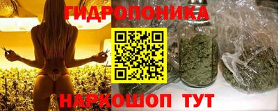гашик Будённовск