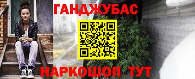 гашик Будённовск