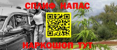 гашик Будённовск