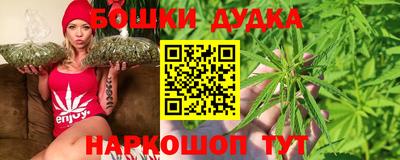гашик Будённовск