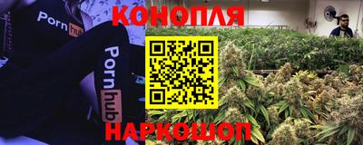 гашик Будённовск