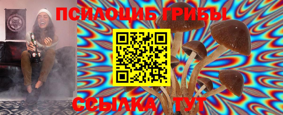 Пугачёв  Галлюциногенные грибы MAGIC MUSHROOMS  цены   Галлюциногенные грибы Magic Shrooms  Вход с VPN 
